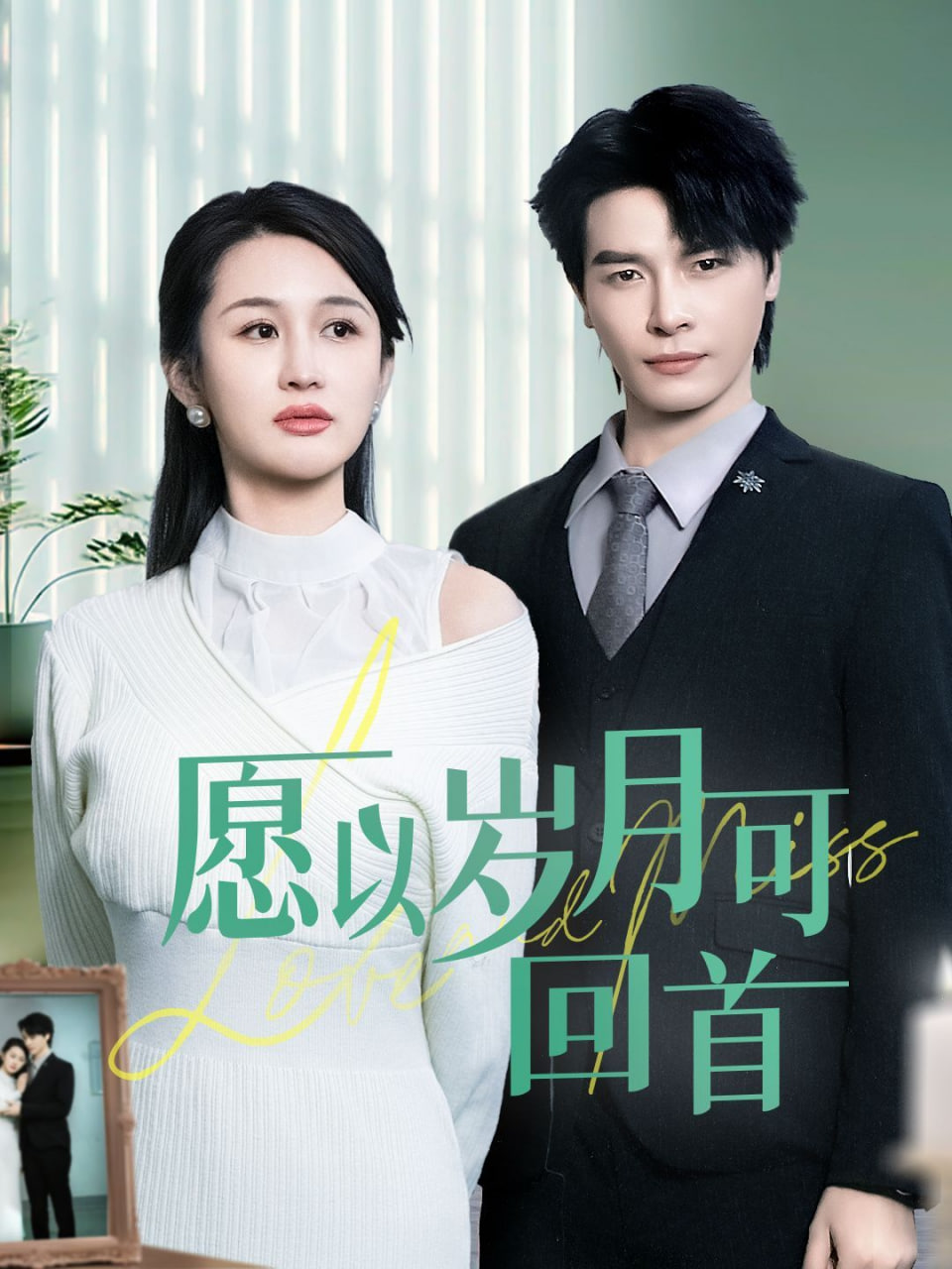 愿以岁月可回首封面图