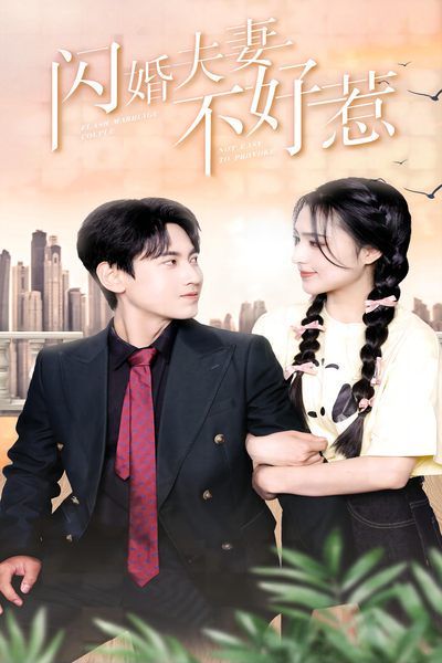 闪婚夫妻不好惹封面图