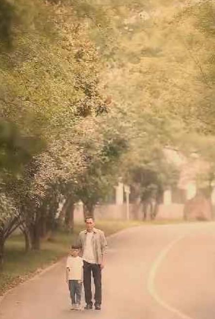 不装了我是你惹不起的存在封面图