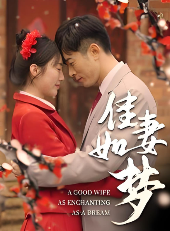 佳妻如梦封面图