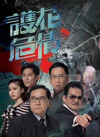 护花危情封面图