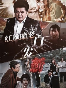 红颜暗老白发新封面图
