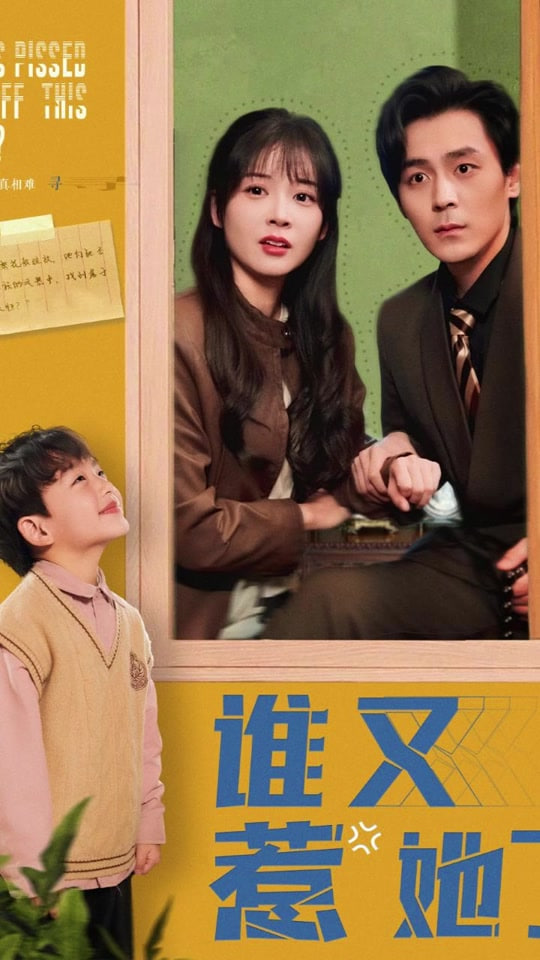 谁又惹她了封面图