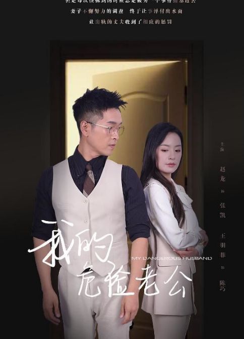 新我的危险老公封面图