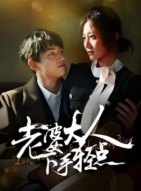 老婆大人下手轻点封面图