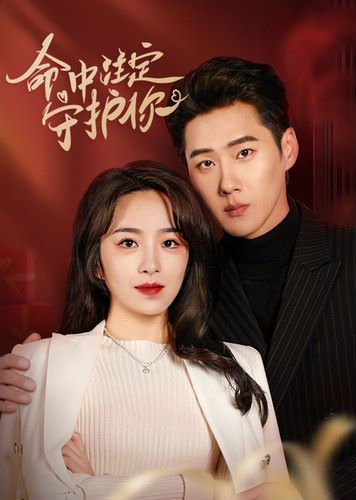 命中注定守护你封面图