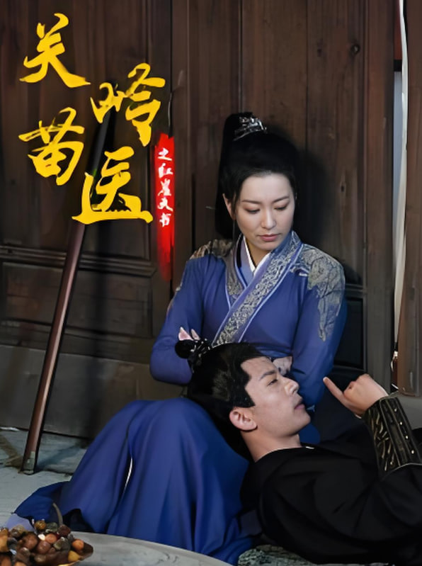 关岭苗医之红崖天书封面图