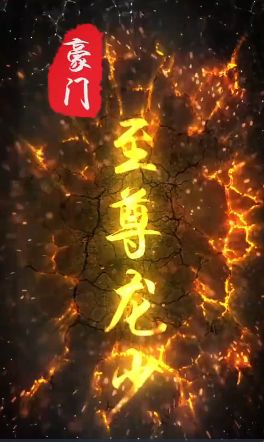 豪门至尊龙少封面图