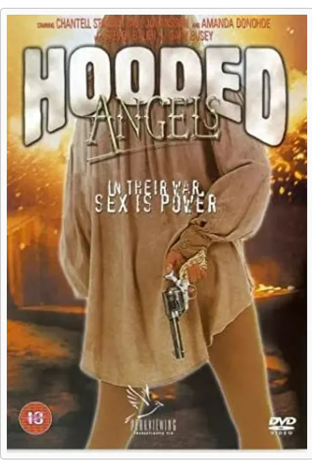 胡德天使封面图