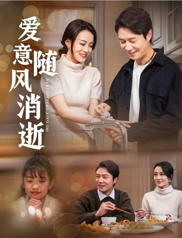 爱意随风消逝封面图