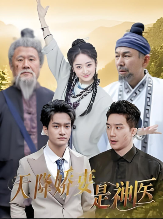 天降娇妻是神医封面图