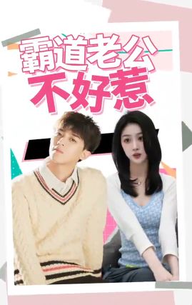 霸道老公不好惹封面图