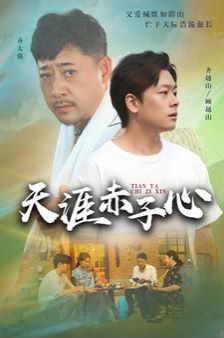 天涯赤子心封面图