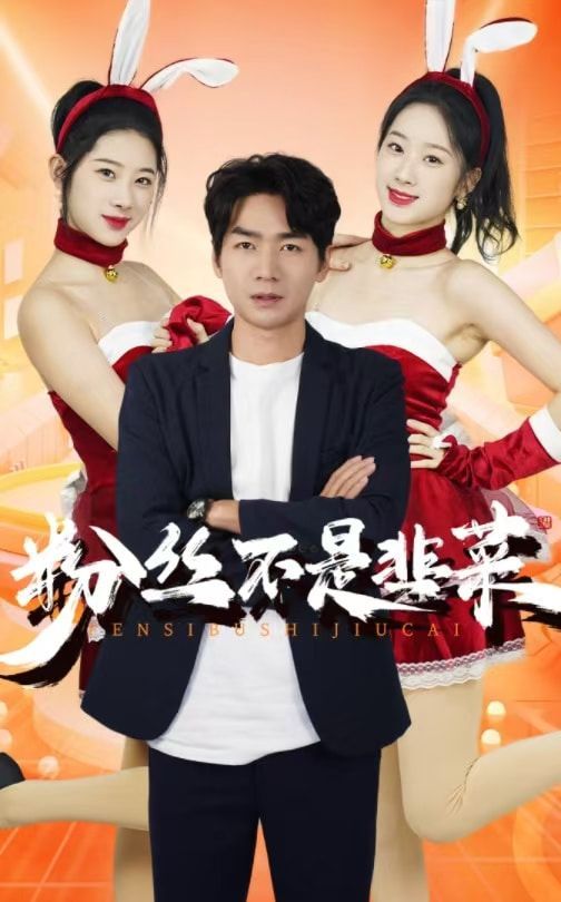 粉丝不是韭菜（一战成名）封面图