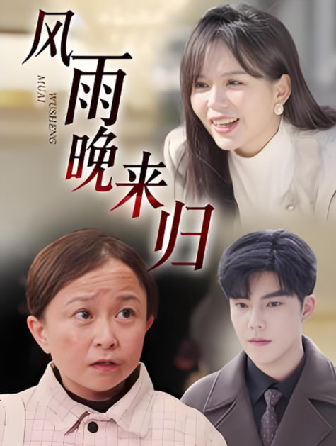 风雨晚来归封面图