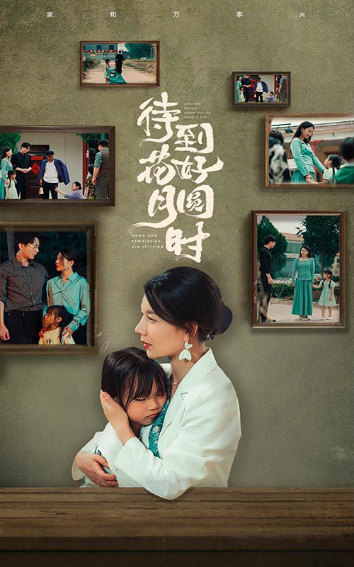 待到花好月圆时封面图