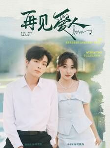 新再见爱人封面图