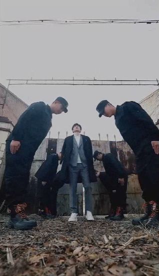 神医帝婿封面图