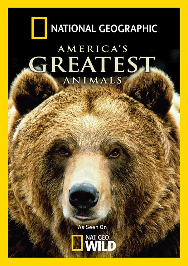 美洲伟大的动物封面图