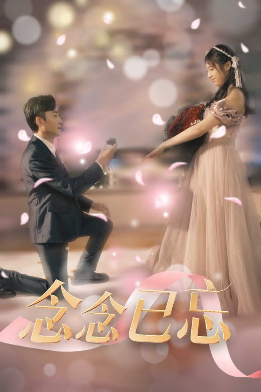 念念已忘封面图