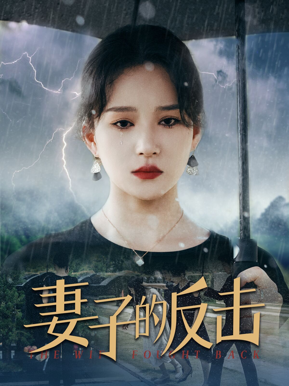 新妻子的反击封面图