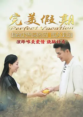 完美假期之从雪山到大海封面图