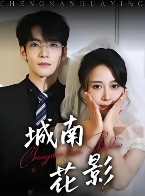 城南花影封面图