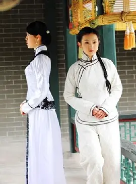 宅门里的女人们封面图