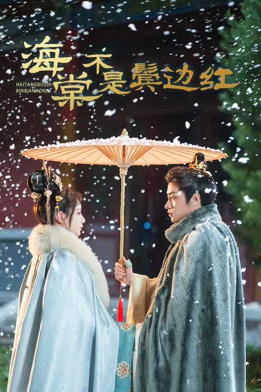 海棠不是鬓边红(人生若只如初见)封面图