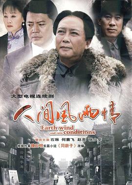 人间风雨情封面图