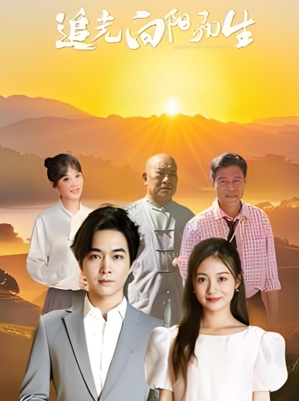 追光向阳而生封面图