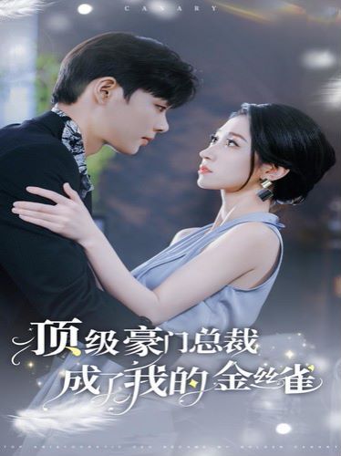 顶级豪门总裁成了我的金丝雀封面图