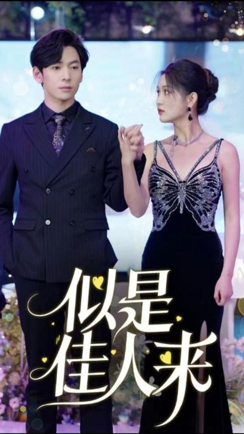 似是佳人来封面图