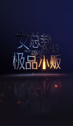 女总裁的极品小贩封面图