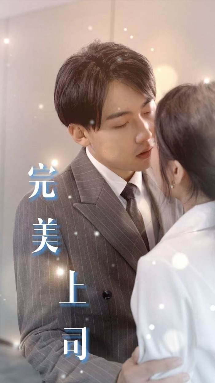 完美上司封面图