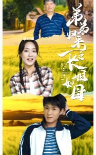 弟弟归来之长姐如母封面图