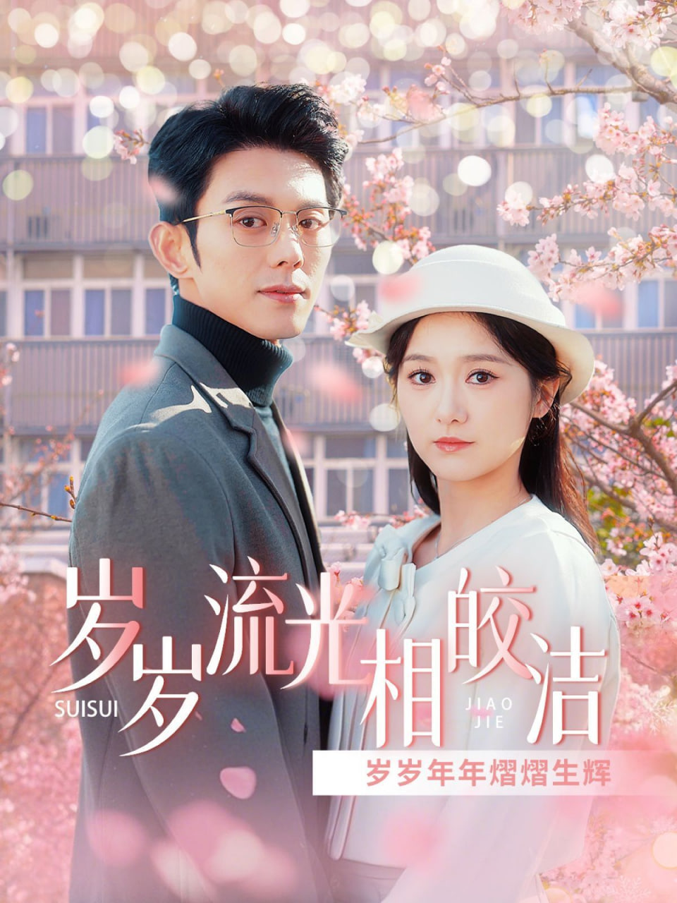 岁岁流光相皎洁封面图