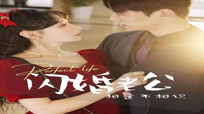 闪婚老公相逢不相识封面图