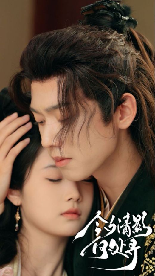 今夕清影何处寻封面图