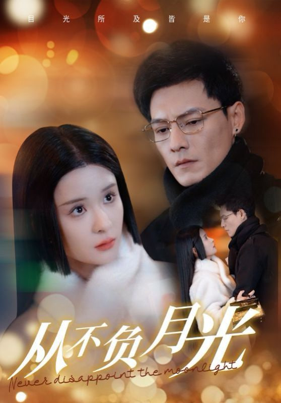 从不负月光封面图