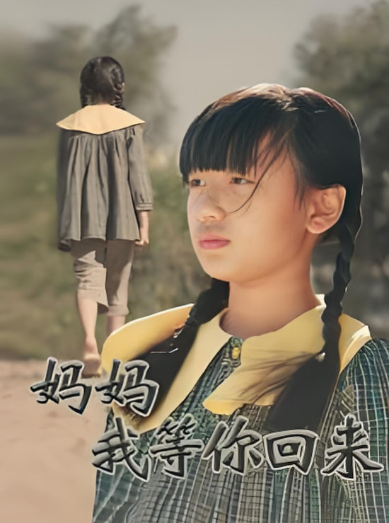 妈妈我等你回来封面图