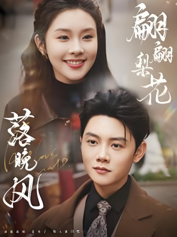 翩翩梨花落晚风封面图