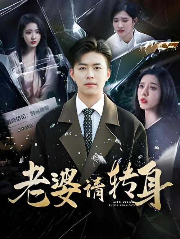 老婆请转身封面图