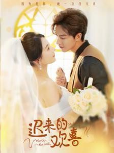 迟来的欢喜封面图