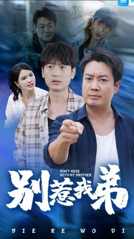 别惹我弟封面图