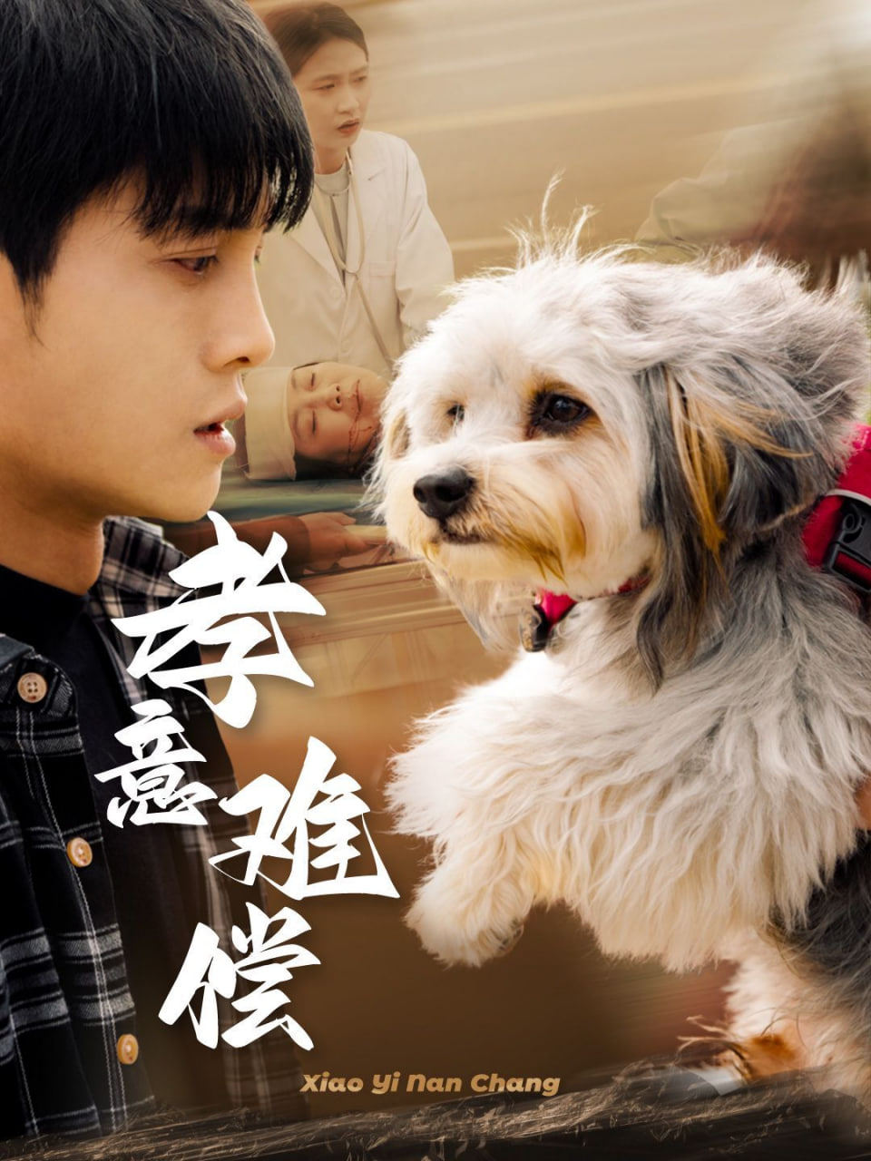 孝意难偿封面图