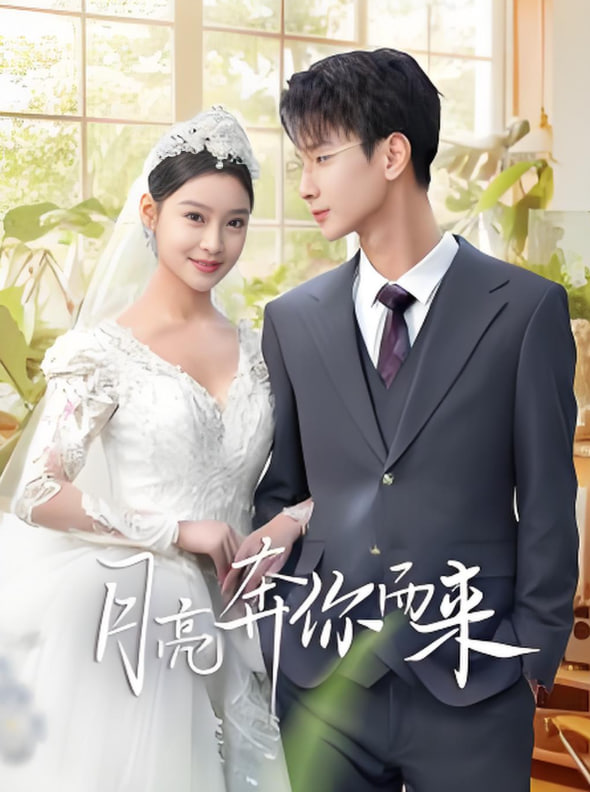 月亮奔你而来封面图