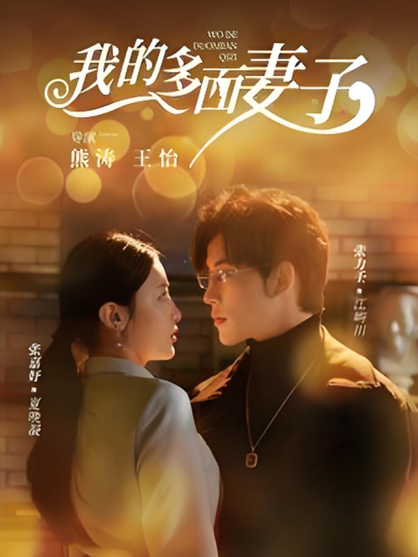 我的多面妻子封面图