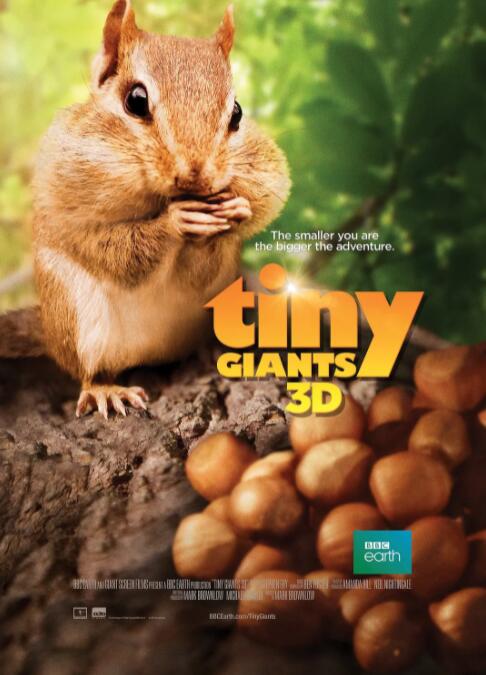 小巨人 3D封面图