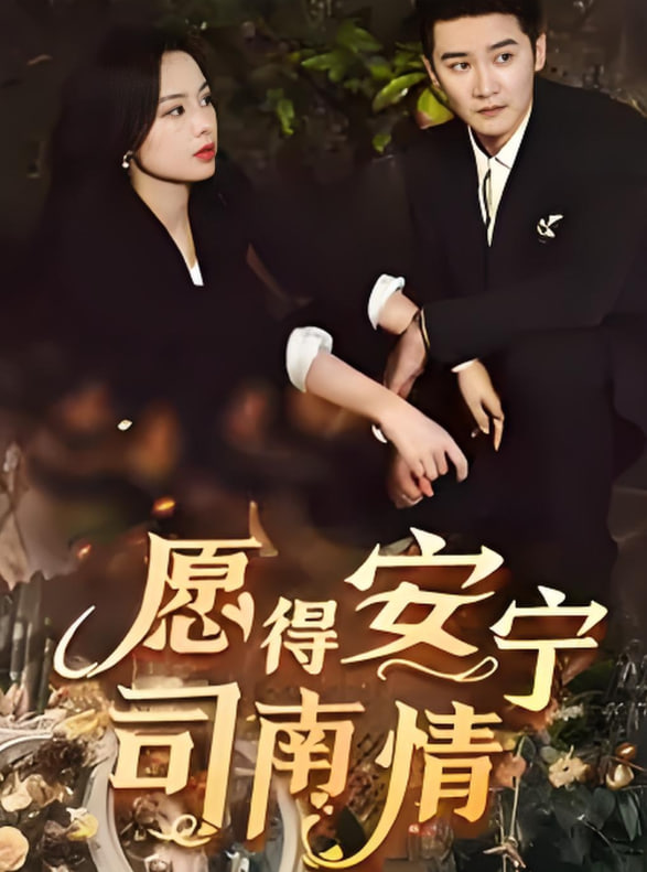 愿得安宁司南情封面图